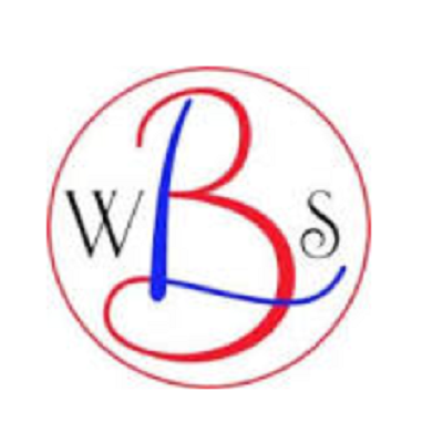 Larry Bohen Web Solutions LLC
